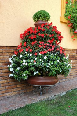 Bahçemi ve evimi beyaz ve kırmızı renklerle süsleyen kocaman bir vazo..