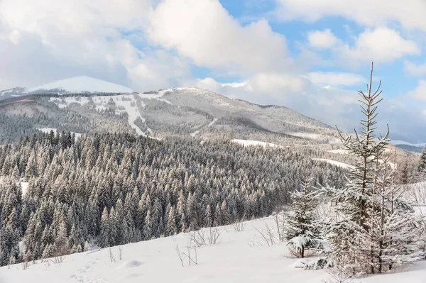 Beyaz bulutlu, turkuaz gökyüzünün arka planında kar beyazı çayırları olan kış manzarası..
