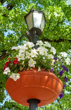 Birçok şehrin park ve meydanlarında çiçek saksıları ve taze çiçeklerle süslenmiş elektrik ışıkları görmek güzel.