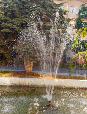 Çeşmenin beyaz su jeti, güneşin arka ışığı altında, ağaç yapraklarının yeşil arka planına karşı, ilginç beyaz vuruşlar gibi görünüyor..