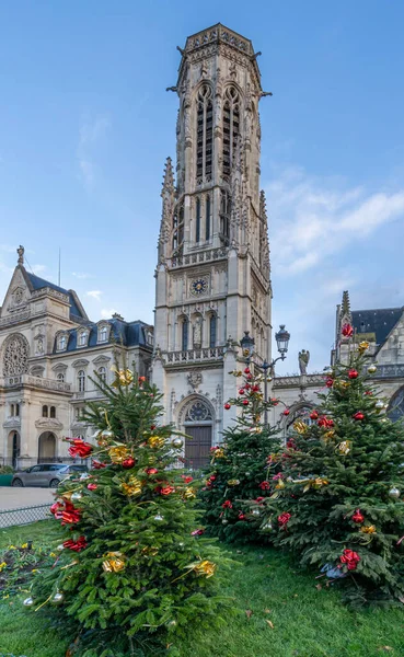 フランス 2021年 クリスマスツリーで飾られたサン ジェルマン オーセールのファサードと芝生の景色 — ストック写真