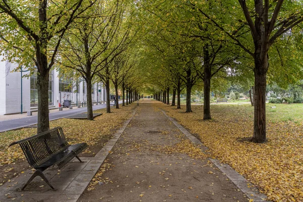 Gennevilliers France 2021 View Colored Trees Autumn — Stock Photo, Image