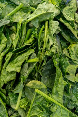 Primeur meyve ve sebzeler. Manavda ıspanak ayrıntıları.