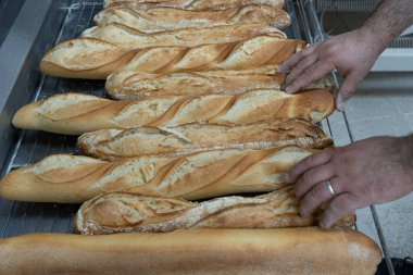 Esnaf fırıncı ve pasta şefi. Bir fırında baget ve fırıncının ellerinin ayrıntıları