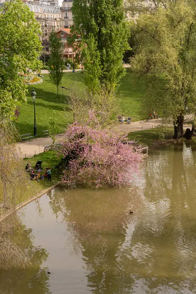 Park Des Buttes Chaumont Feche Tiro Uma Bela Árvore Flor — Fotografia de Stock