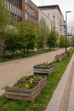 Yeşil ağaçların çiçek tarlalı bir patika boyunca hizalanmasının görüntüsü