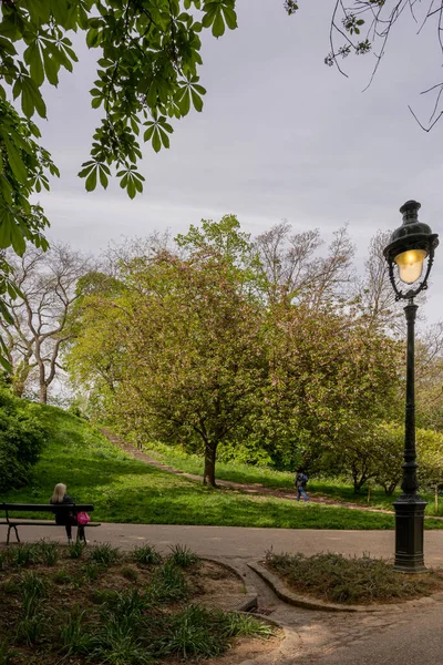 Park Des Buttes Chaumont Close Tiro Uma Bela Árvore Flor — Fotografia de Stock