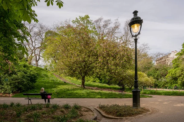 Park des Buttes Chaumont. Yakından bakınca güzel bir kiraz ağacının, bir bankta oturan bir kadının ve bir sokak lambasının resmi.