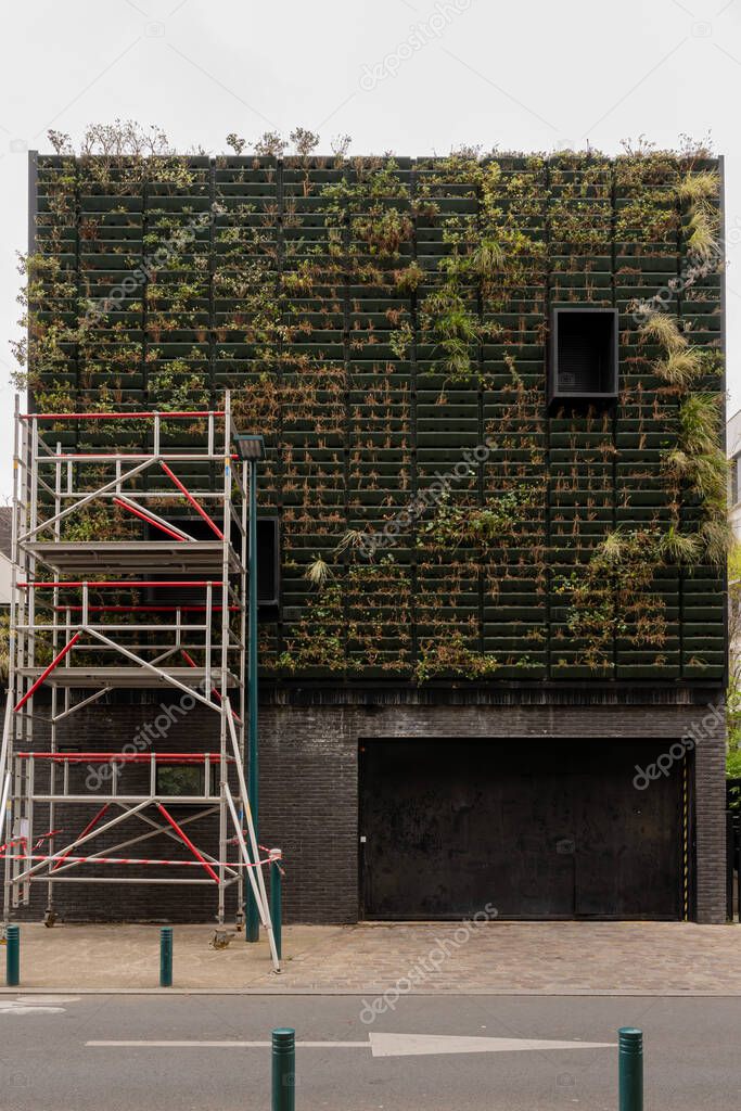 Eco-neighborhood. View of a green wall in preparation