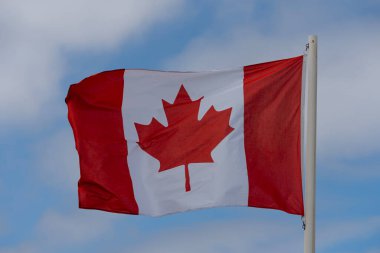 Flags of the Allies of the Second World War