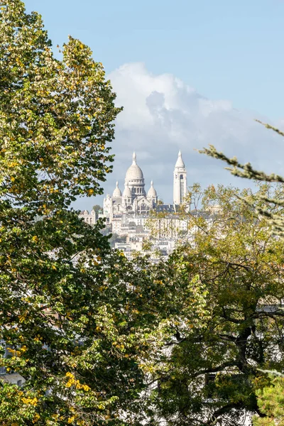 Park Des Buttes Chaumont Vista Del Sacro Cuore Nel Quartiere — Foto Stock