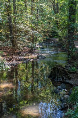 Kariyer yolu - Ehn Kanalı 'ndaki yürüyüş yolunun görüntüsü