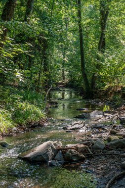 Kariyer yolu - Ehn Kanalı 'ndaki yürüyüş yolunun görüntüsü