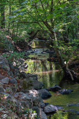 Kariyer yolu - Ehn Kanalı 'ndaki yürüyüş yolunun görüntüsü