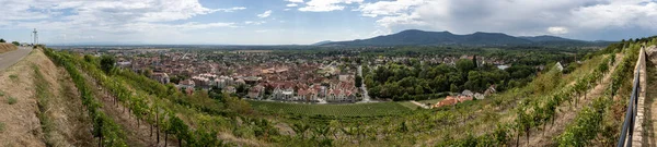 Panoramautsikt Över Terrasserade Vinfält Och Byn Bakom — Stockfoto