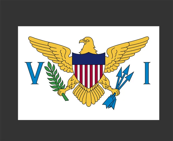 Usa Jungferninseln Flagge National Nordamerika Emblem Symbol Ikone Vektor Illustration — Stockvektor