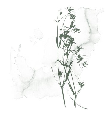 Çiçekli bitkisel tasarım ve koyu yeşil suluboya. Yüksek kaliteli illüstrasyon