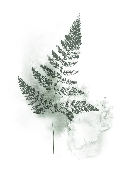 Дизайн папоротника с цветочными элементами и темно-зеленой акварелью — стоковое фото