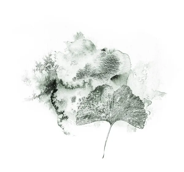 Ginkgo Biloba Herbal Design with Floral elements and Dark Green Watercolor — 스톡 사진