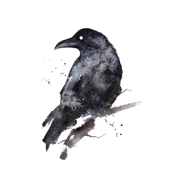 Black Raven isolated on white background. Crow - gothic black and white watercolor illustration. Bird clip art, wall art print — Stockfoto