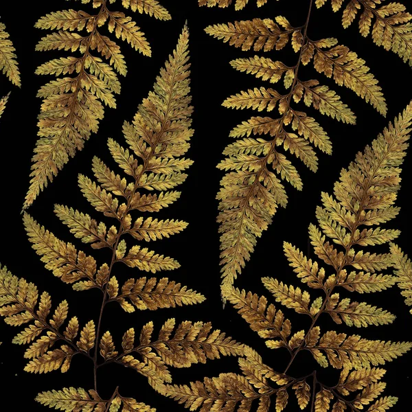 Fern Leaves Seamless Pattern Green Realistic Seamless Pattern Black Floral — ストック写真