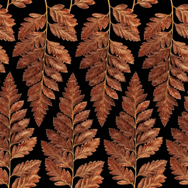Fern Leaves Seamless Pattern Green Realistic Seamless Pattern Black Floral — Stockfoto