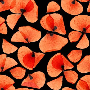Bright red wild poppies seamless pattern on black background. Surface design for interior decoration, textile printing, printed issues, invitation cards flowers 
