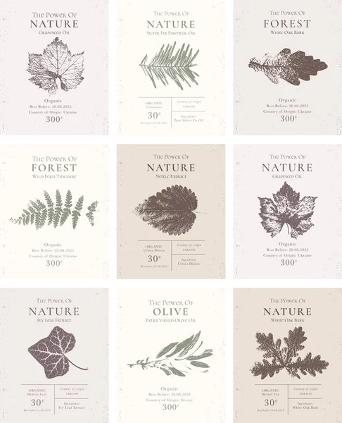 Elegant Label Collection Natural Organic Herbal Products 고전적 디자인은 화장품 — 스톡 벡터