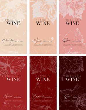 Kırmızı, beyaz, yarı tatlı Merlot, Cabernet için üzüm yapraklı şarap etiketi tasarımı. Evrensel paket şablonu. Vektör illüstrasyonu