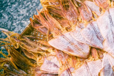 Satılık Kurutulmuş Kalamarların Yakın Çekimi.