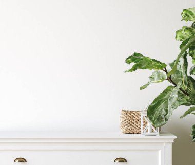 Wall mockup close up in Coastal living room interior with commode, plant and decor, 3d render