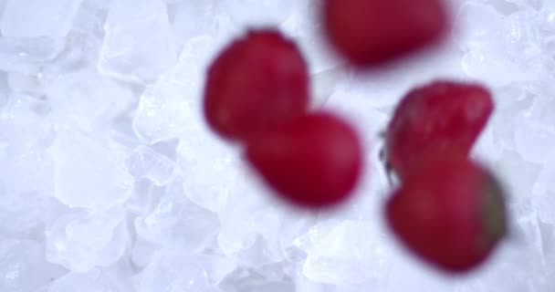 detailní záběry lahodných zralých jahod na hromadě kostek ledu