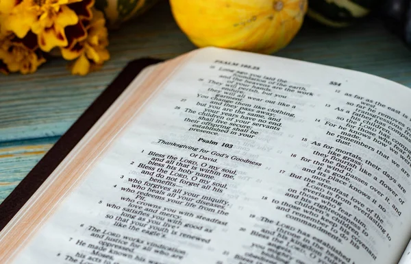 Abre Libro Sagrado Biblia Con Fruta Fresca Otoño Acción Gracias —  Fotos de Stock