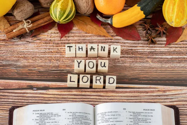 開いている聖書の本と新鮮な秋の果物と木製のテーブルの上に手書きの文字を持つ主木製のキューブに感謝 神イエス キリストへのクリスチャン感謝の聖書的概念 トップ表示 — ストック写真