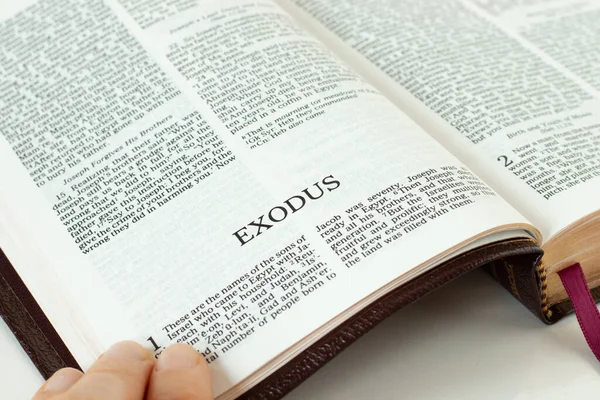 Êxodo Livro Sagrado Bíblia Close Escritura Aberta Antigo Testamento Conceito — Fotografia de Stock