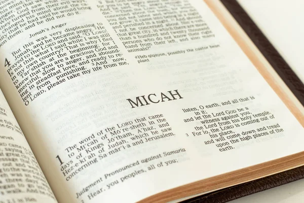 Miqueas Abre Libro Santa Biblia Cerca Profecía Bíblica Del Antiguo — Foto de Stock