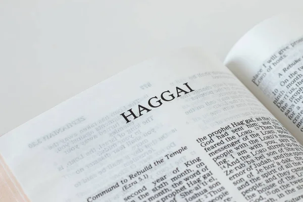 Haggai Otwórz Zbliżenie Biblię Przepowiednia Starego Testamentu Studiowanie Słowa Bożego — Zdjęcie stockowe