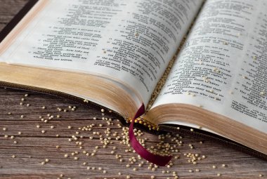 Tahta masanın üzerinde hardal tohumları ve açık İncil kitabı. Hristiyan inancı, güveni ve Tanrı 'ya olan umudu. İncil 'deki hardal tohumu kıssası. Yakın çekim..