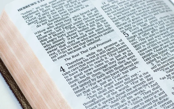 Abra Libro Sagrado Biblia Con Una Taza Café Flores Rojas —  Fotos de Stock