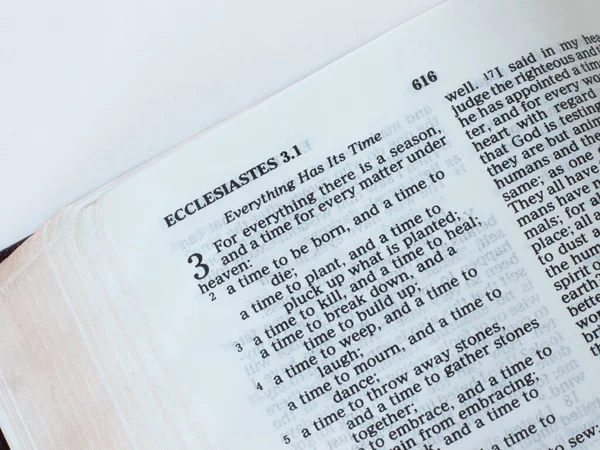 Księga Kaznodziei Starego Testamentu Wyizolowana Białym Tle Chrześcijańska Biblijna Koncepcja — Zdjęcie stockowe