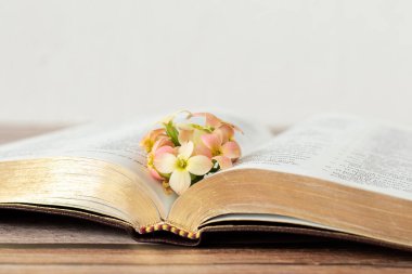 Kutsal Kitap 'ı altın sayfalarla aç ve beyaz arkaplanlı ahşap bir masada taze çiçekler. İsa Mesih 'in Tanrı' nın sevgi ve inancında büyüyen Hristiyanlık kavramı. Yakın çekim..