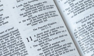 Yüce İsa 'nın barışçıl krallığı, İncil' in açık kitabında ikinci gelen kehanet. İncil 'deki Hristiyanlık kavramı: Barış, sevgi ve umut. Tanrı 'nın sözüne inan. Yakın çekim..