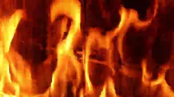 Silný Oheň Hoří Krbu Detailní Záběr — Stock video