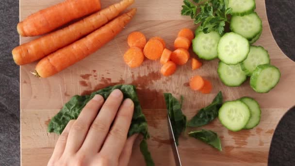 雌性手用一把刀切一堆堆菠菜叶子 刀盘上有切碎的黄瓜 胡萝卜和欧芹 顶部视图 Close — 图库视频影像