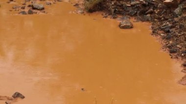 Etrafında sivrisinekler uçuşan kirli, kirli bir nehre yağmur damlaları düşer. Yağmurlu bir bahar gününde çamurlu su birikintisi.