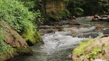 Ormanda akan bir nehir. Taze ve temiz su dağdaki kayaların ve yeşil ağaçların arasından akar..