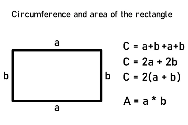 Graphic Representation Circumference Area Rectangle Equation — Stok Vektör