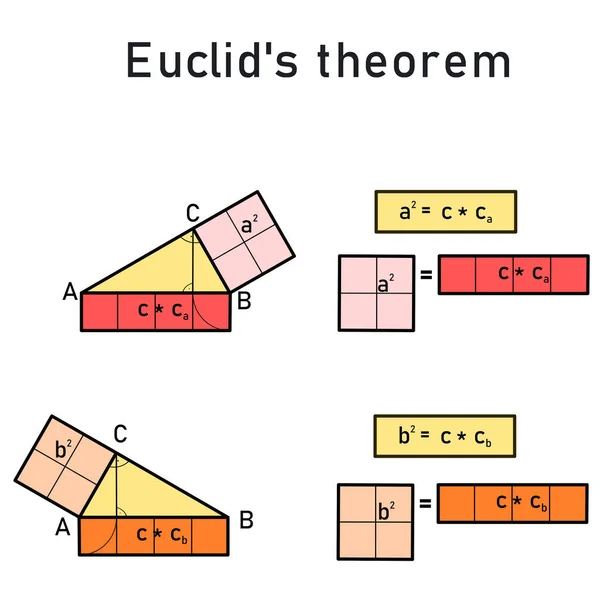 Teorema Euclide Sulla Perpendicolarità Triangolo Rettangolo — Vettoriale Stock
