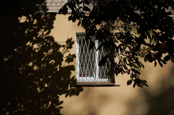 Ventana Blanca Con Barras Ramas Con Hojas — Foto de Stock