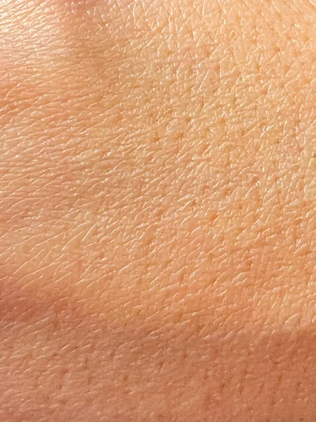 Macro Close Pores Young Woman Skin Skin Texture Pattern — Stock Photo, Image